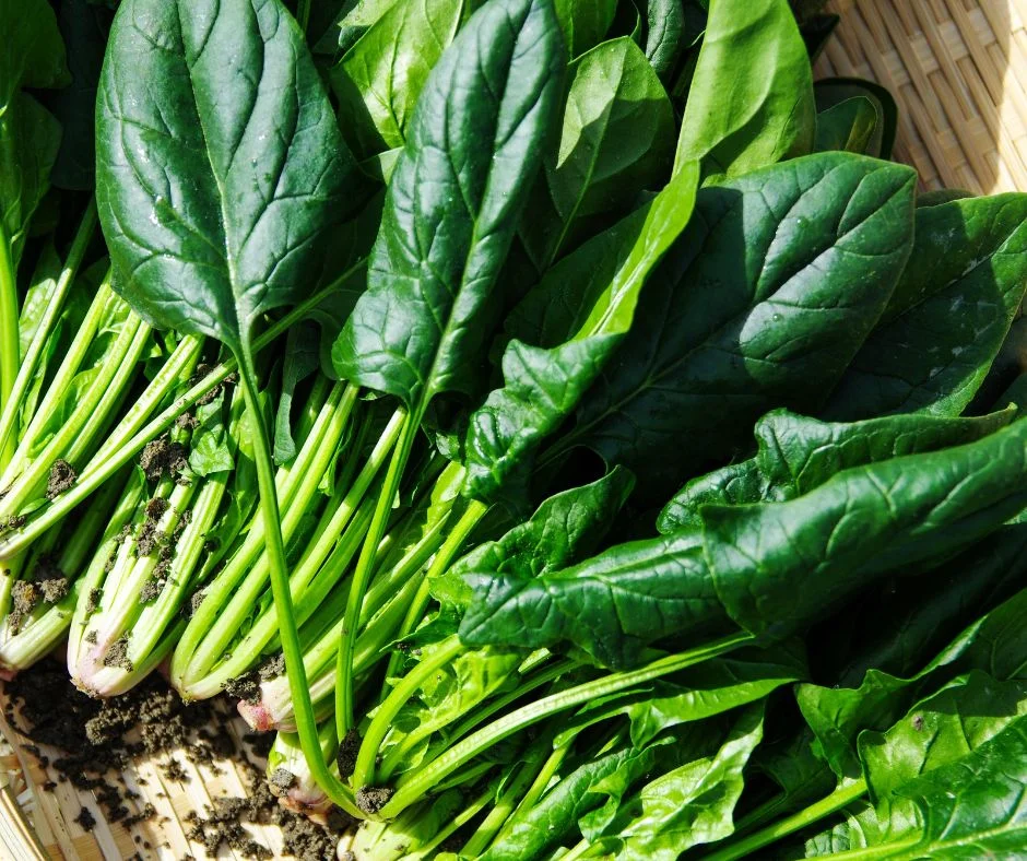 Alimentos Ricos en Antioxidantes para una Piel Radiante 2 Post de Facebook 14